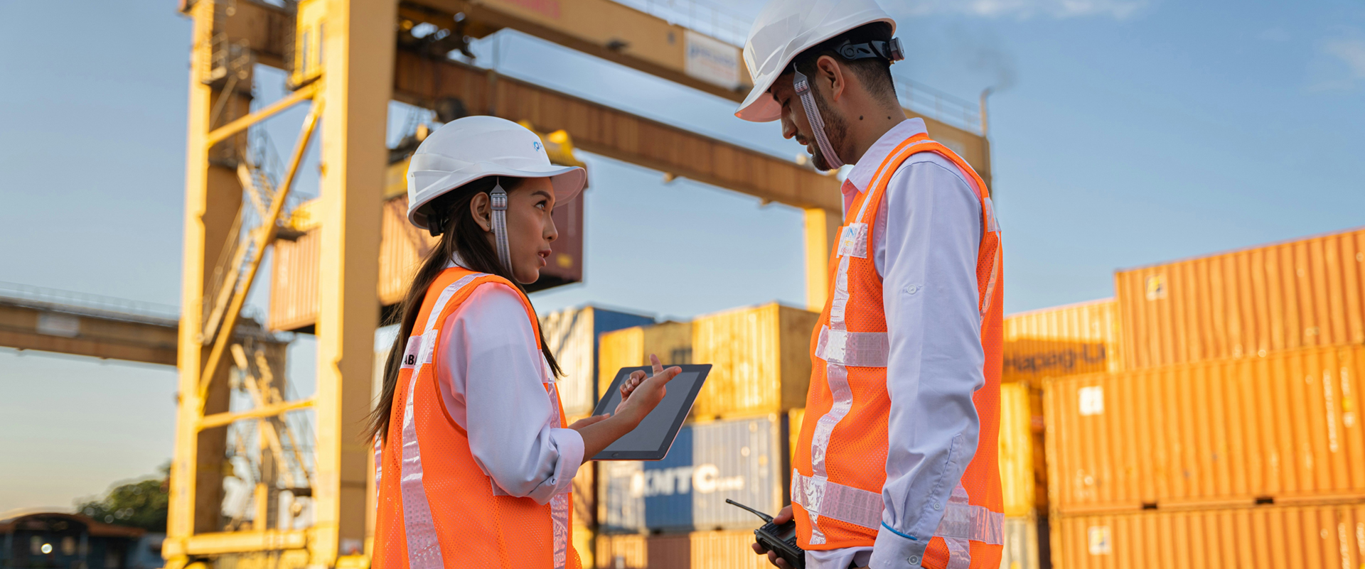 Port Authorities & Terminal Operators